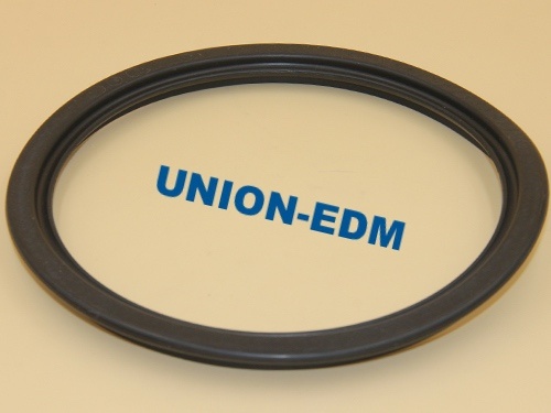 200444496  Filter canister gasket